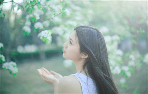 浉河验血查男女几周可以验(验血查男女结果图)